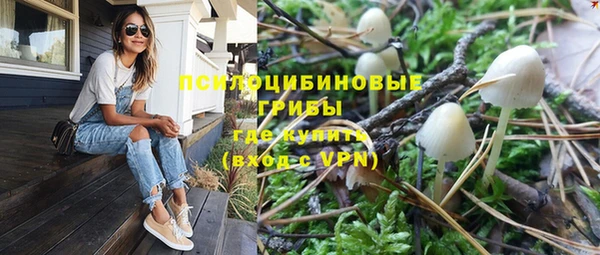 прущие крисы Алексеевка