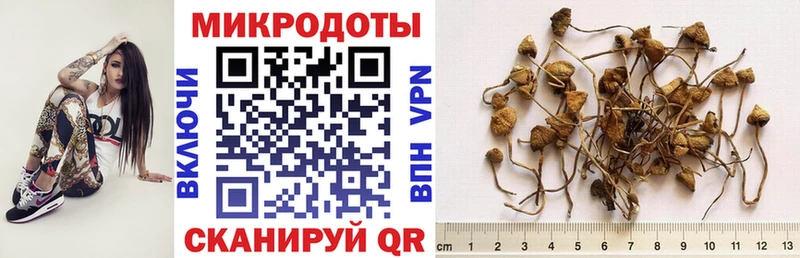 Галлюциногенные грибы MAGIC MUSHROOMS Зверево