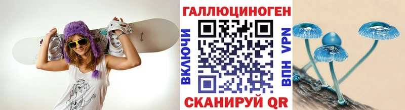 маркетплейс клад  МЕГА ТОР  Зверево  как найти закладки  Галлюциногенные грибы ЛСД 